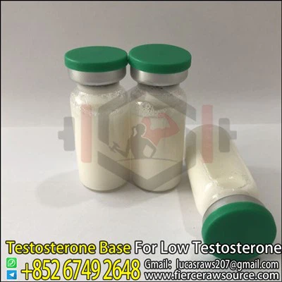 BNP Testosteron Base 100 mg CAS:58-22-0