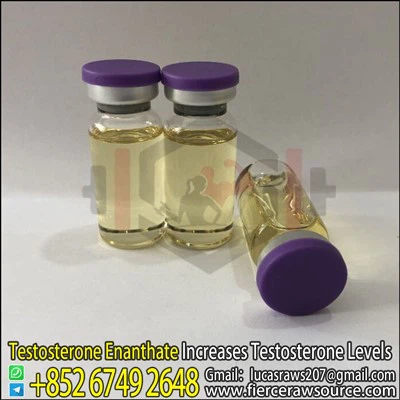 BNP Testosteron Enanthate 250 mg CAS:315-37-7