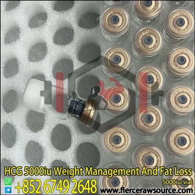 Peptidi HCG 5000iu CAS:9002-61-3
