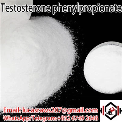 Testosteron fenilpropionat CAS 1255 49 8
