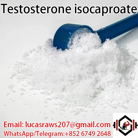 Testosteron izokaproat CAS 15262 86 9